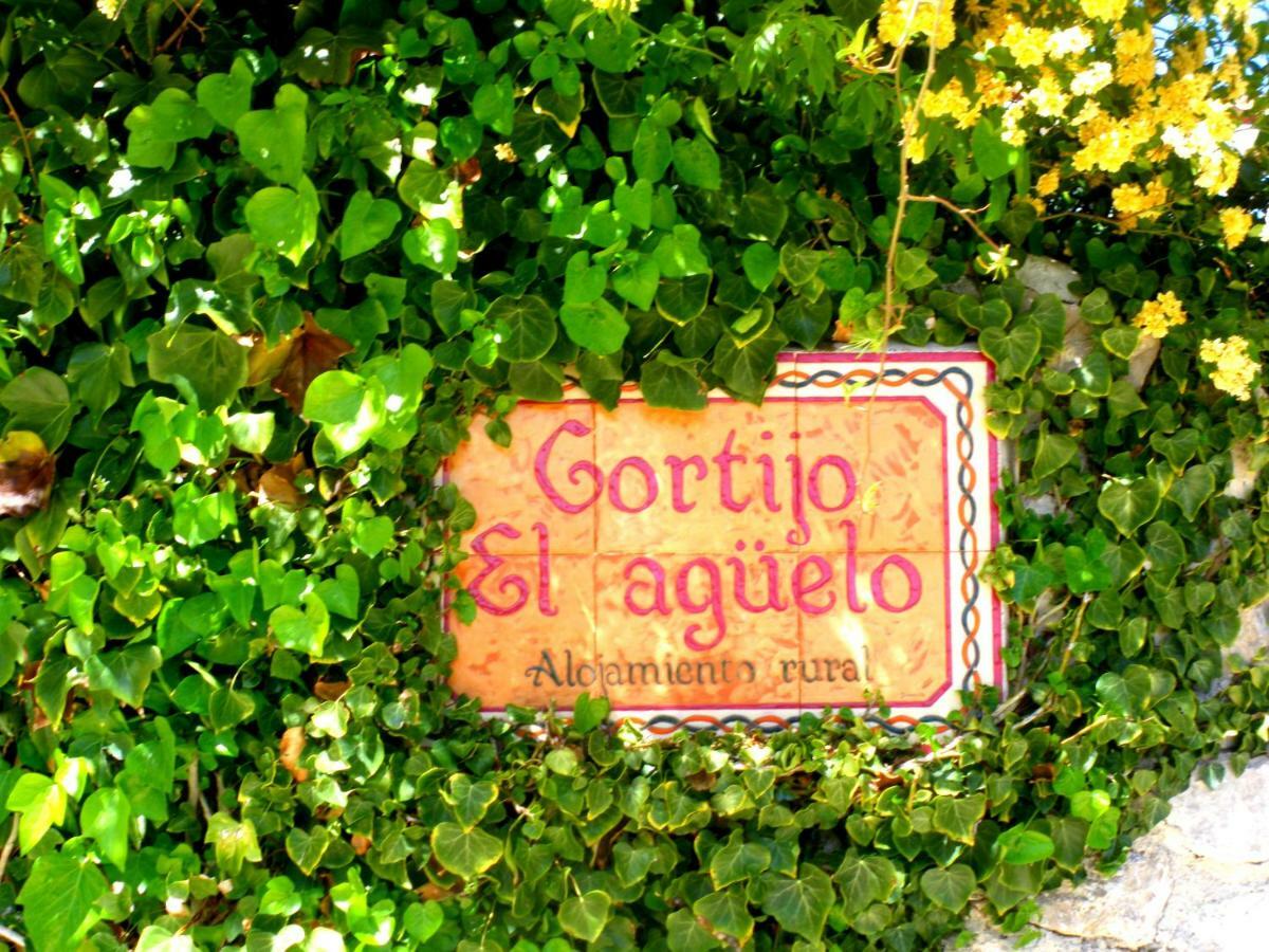 Alojamiento Rural El Agueelo Huelma エクステリア 写真