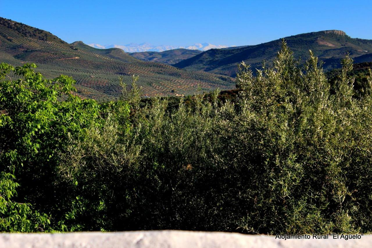 Alojamiento Rural El Agueelo Huelma エクステリア 写真